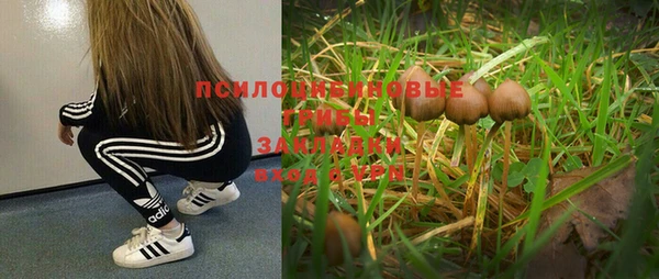 сатива Медногорск