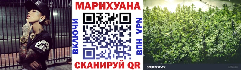 Купить где  Волоколамск  Бошки Шишки THC 21% 